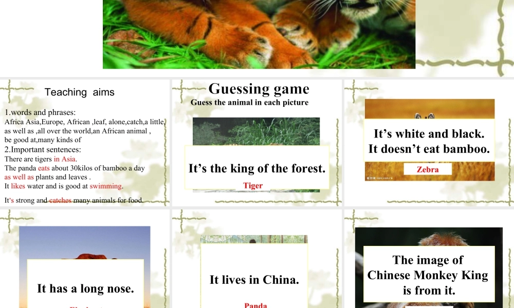 外研版七年级英语上册Module6 Unit2 课件 (共14张PPT).ppt