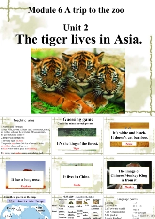 外研版七年级英语上册Module6 Unit2 课件 (共14张PPT).ppt