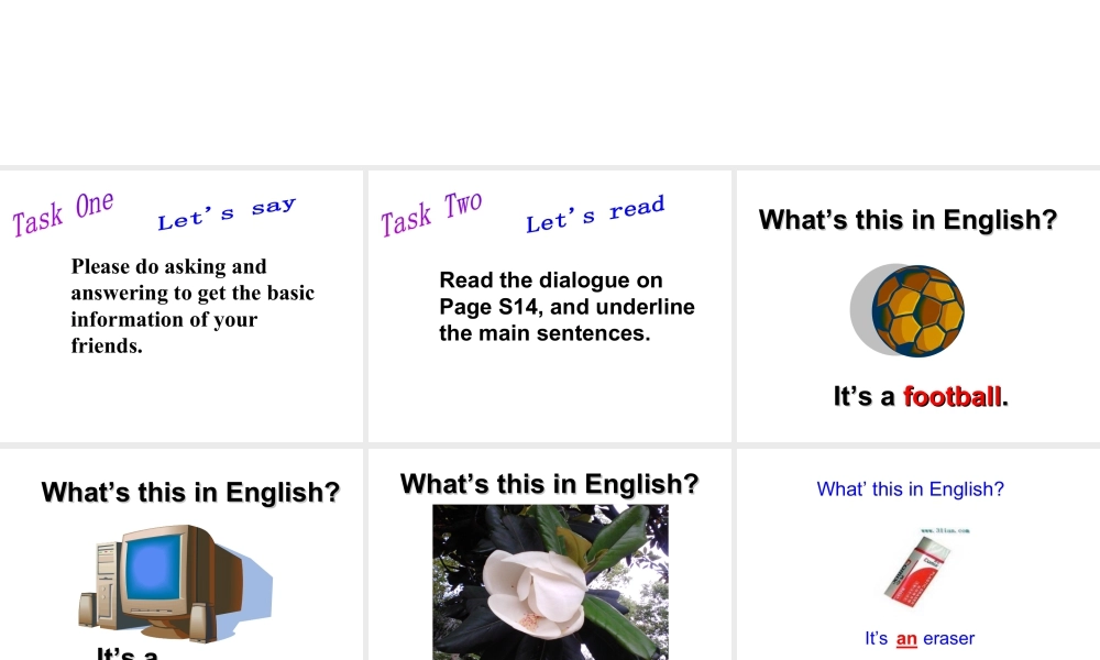 外研版七年级英语上册课件：Starter Model 3 Unit 1（共15张PPT）.ppt