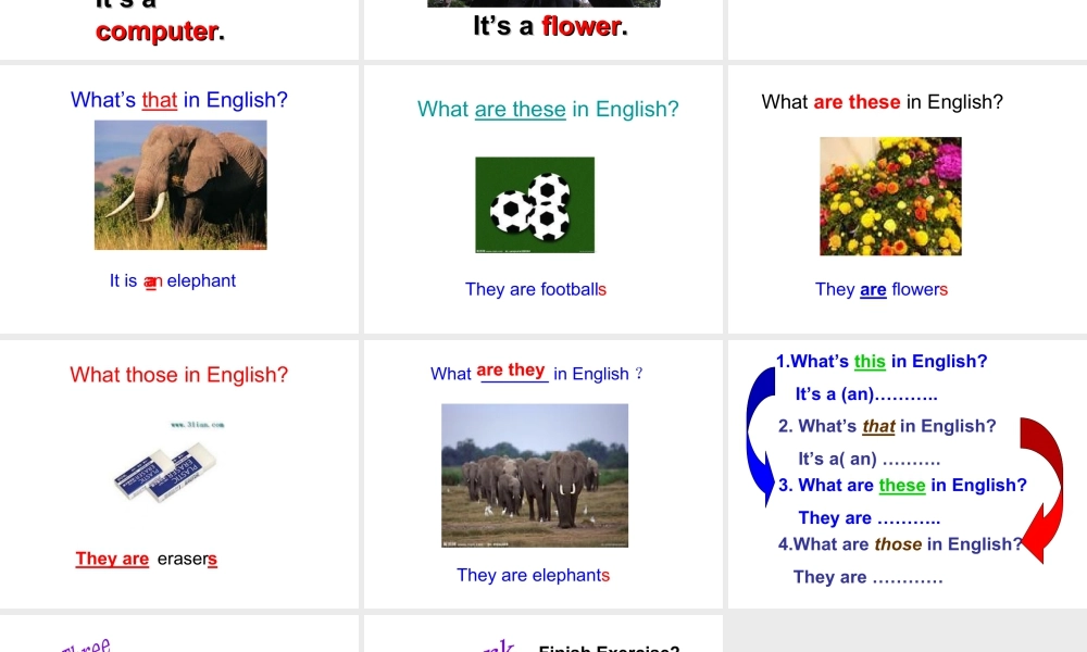 外研版七年级英语上册课件：Starter Model 3 Unit 1（共15张PPT）.ppt