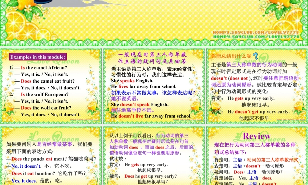 外研英语七年级上Module 6 A trip to the zoo Unit 3 Language in use课件 （共24张PPT）.ppt