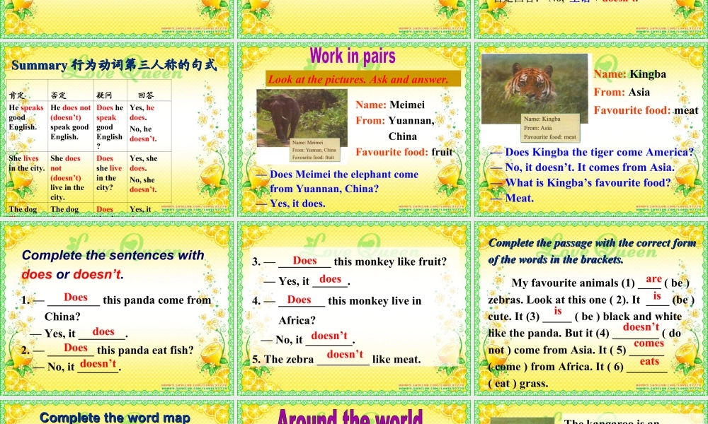 外研英语七年级上Module 6 A trip to the zoo Unit 3 Language in use课件 （共24张PPT）.ppt