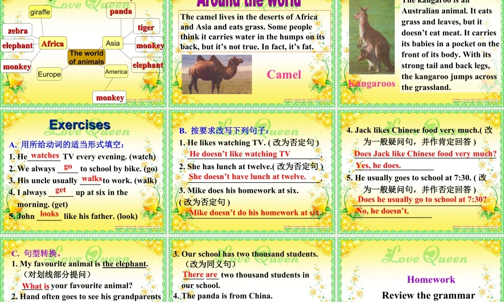 外研英语七年级上Module 6 A trip to the zoo Unit 3 Language in use课件 （共24张PPT）.ppt