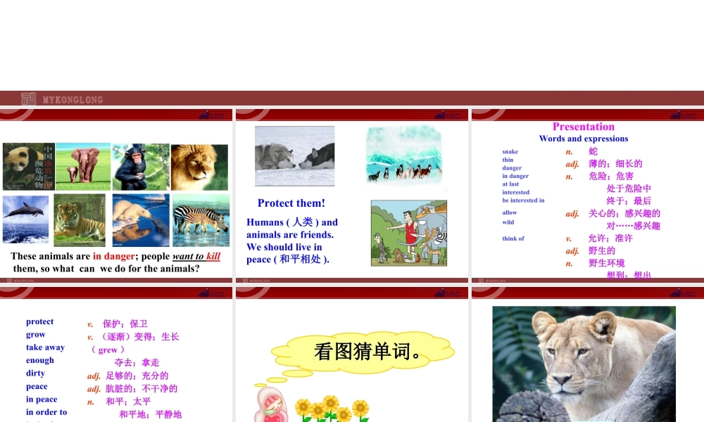 新外研版八年级英语上册配套课件：Module 6 Animals in danger Unit 1.ppt