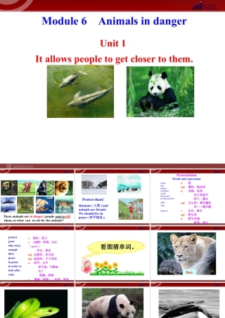 新外研版八年级英语上册配套课件：Module 6 Animals in danger Unit 1.ppt