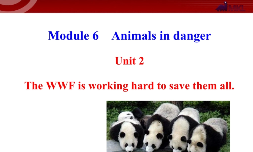 新外研版八年级英语上册配套课件：Module 6 Animals in danger Unit 2.ppt