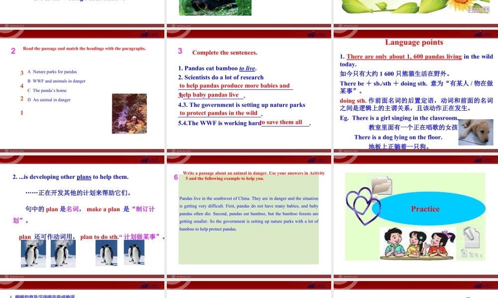 新外研版八年级英语上册配套课件：Module 6 Animals in danger Unit 2.ppt