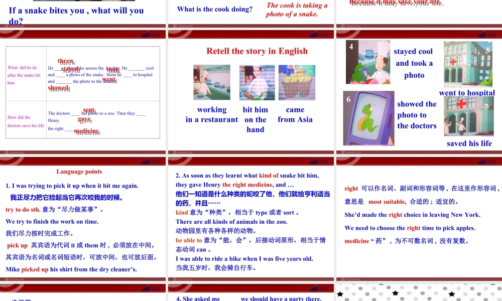 新外研版八年级英语上册配套课件：Module 8 Accidents Unit 2.ppt