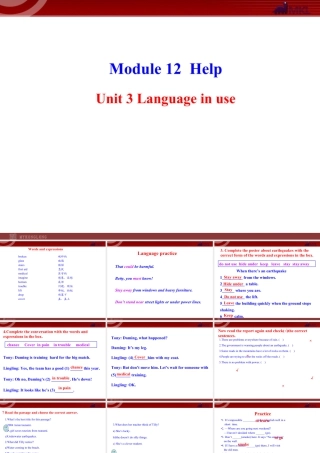 新外研版八年级英语上册配套课件：Module 12 Help Unit 3.ppt