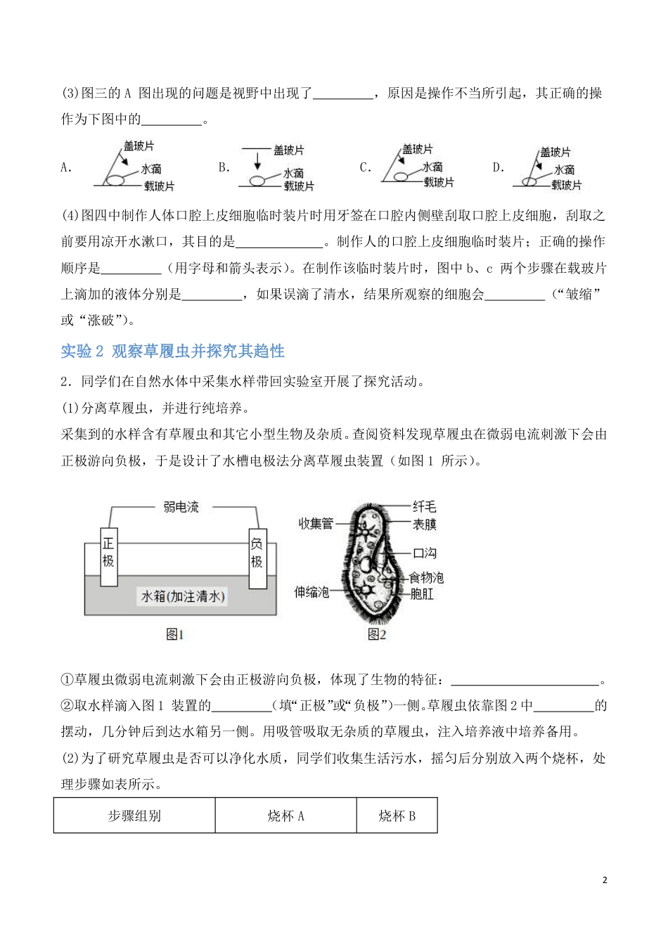 【苏教版】最新七年级（上）生物 实验探究.pdf_第2页