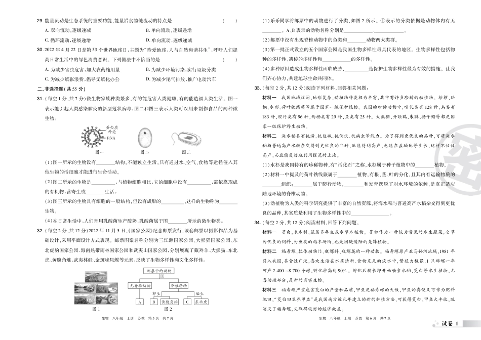 【苏教版】最新八年级（上）生物 洛阳期末考试试卷（苏教版）.pdf_第3页