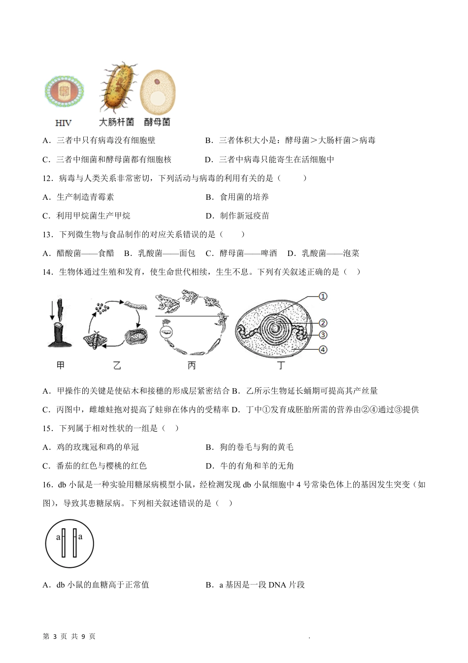 【北师版】最新八年级（上）生物 期末冲刺卷2（北师大版）.pdf_第3页