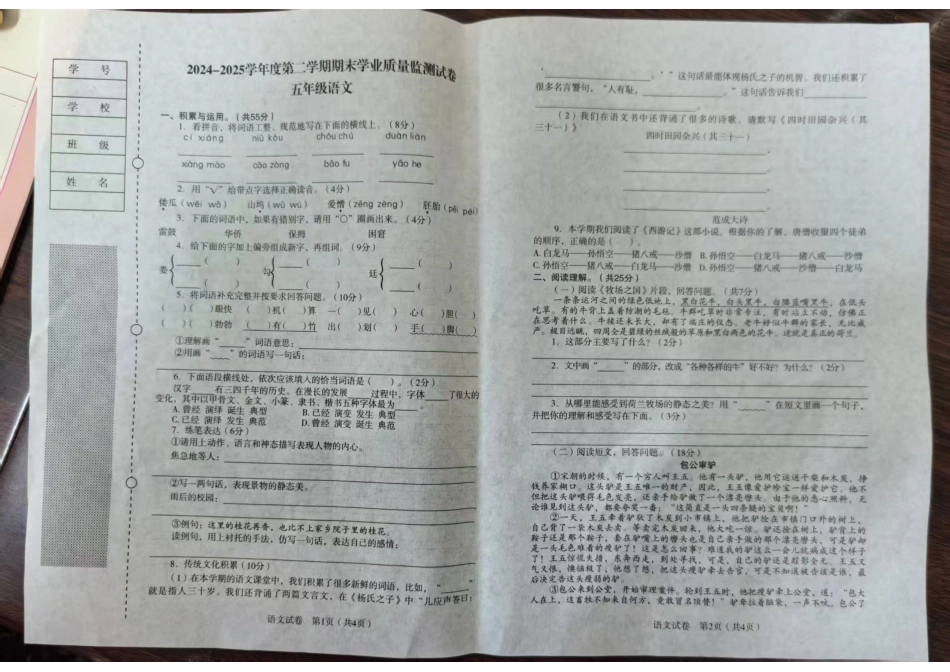 辽宁省沈阳市沈河区2024-2025学年五年级下学期期末语文试卷.pdf_第1页
