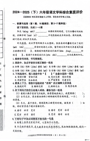 辽宁省沈阳市大东区2024-2025学年六年级下学期期末语文试题.pdf