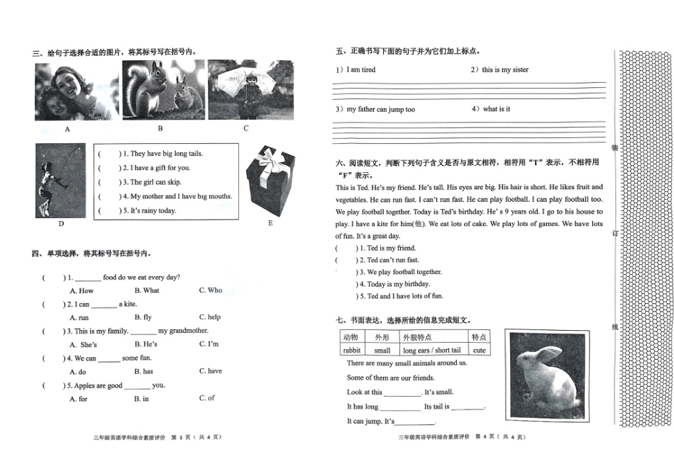 沈阳市浑南区大东区24-25学年三年级上学期期末（英语）.pdf_第1页