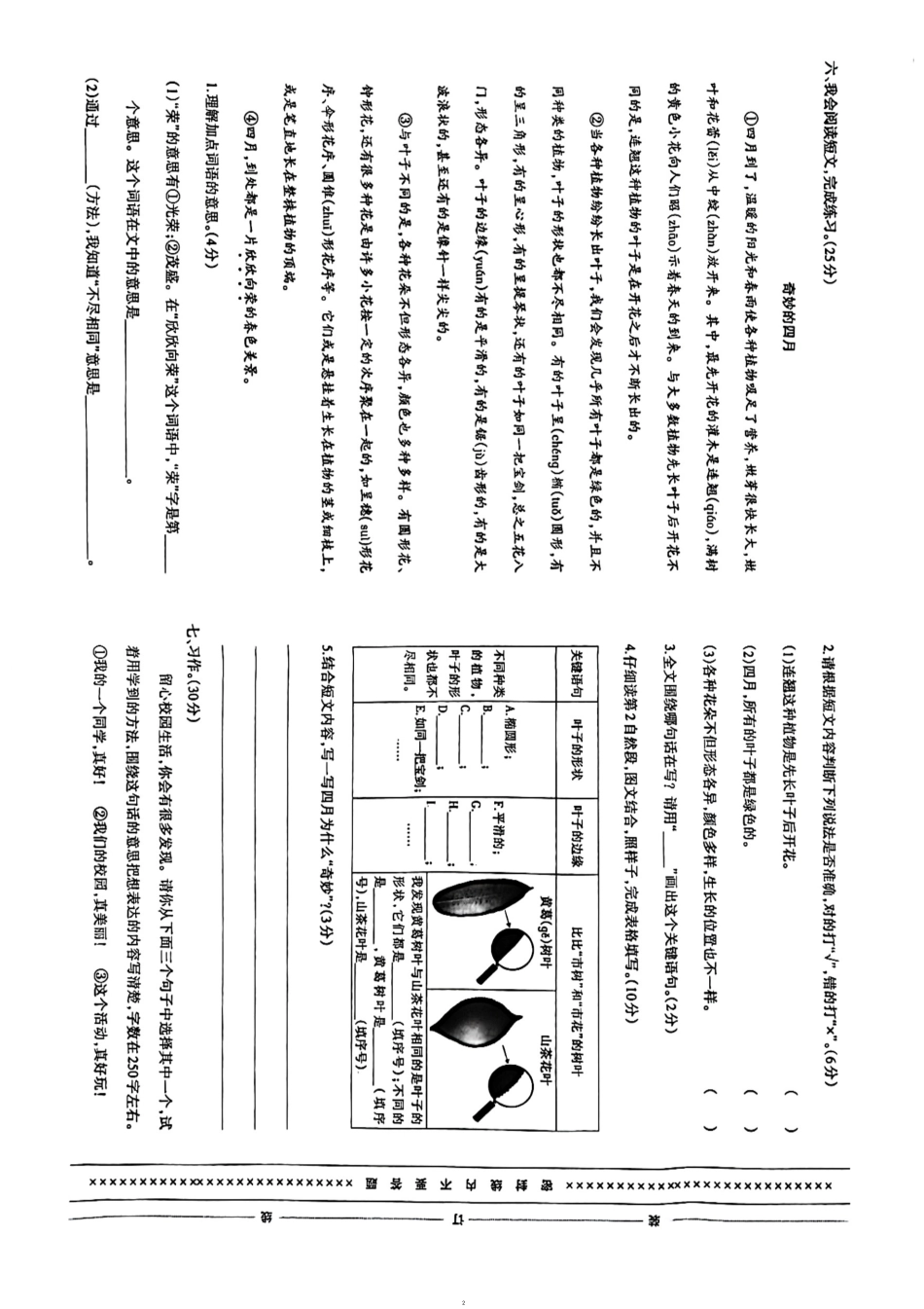 2023-2024学年重庆市小学上学期期末试卷-沙区三年级上语文.pdf_第2页