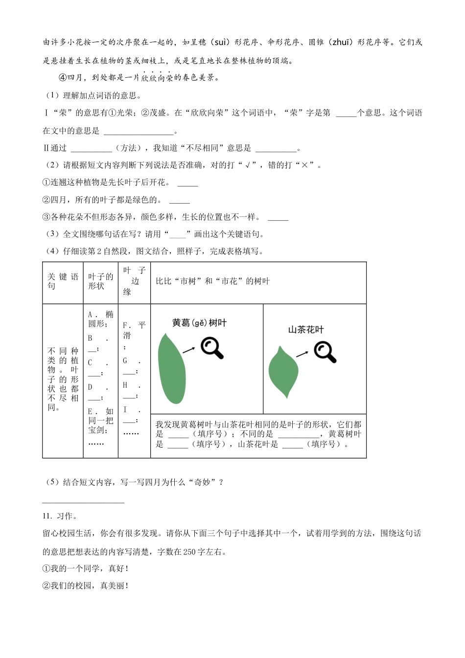 重庆市沙坪坝区部编版三年级上册期末考试语文试卷（原卷版）.docx_第3页