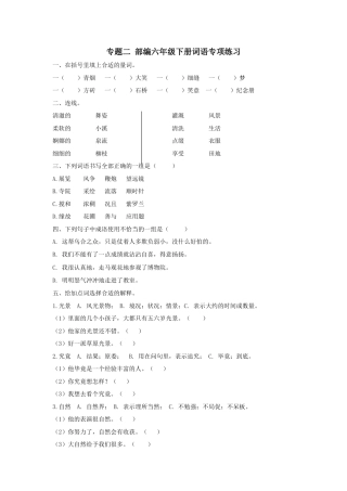 语文六年级下册-专题2 六下词语专项.docx