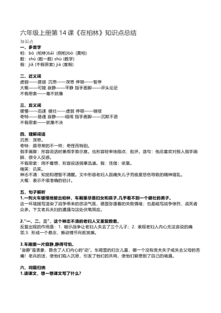 部编版六年级（上）第14课《在柏林》重点及主题归纳.docx