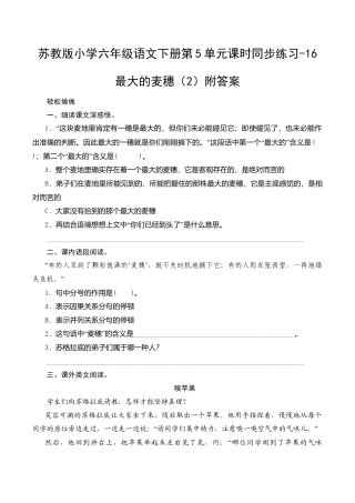 苏教版小学六年级语文下册第5单元课时同步练习-16最大的麦穗（2）附答案.doc