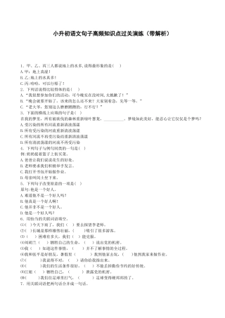 小升初语文专项训练-句子高频知识点-北师大版.docx