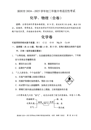 2024-2025学年深圳市初三中考适应性考试化学试卷（含答案解析）.pdf