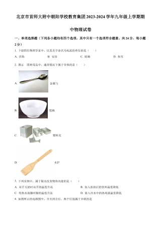 北京市首师大附中朝阳学校教育集团2023-2024学年九年级上学期期中物理试题（含答案解析）.docx