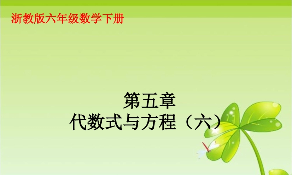 《代数式与方程》课件1-浙教版小学数学六年级下册.ppt