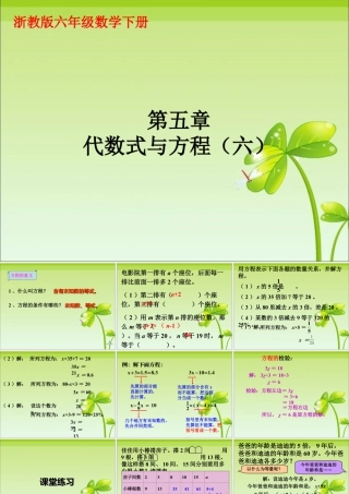 《代数式与方程》课件1-浙教版小学数学六年级下册.ppt
