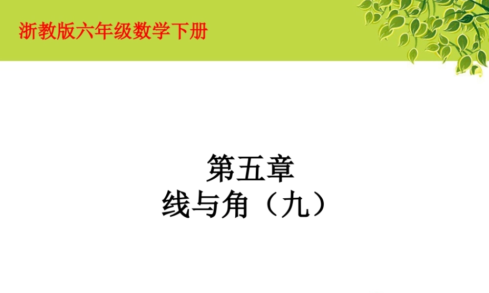 《线与角》课件1-浙教版小学数学六年级下册.ppt