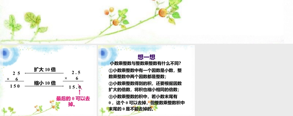 小数乘整数与整数乘整数的不同_小数乘整数-浙教版小学数学五年级上册.ppt