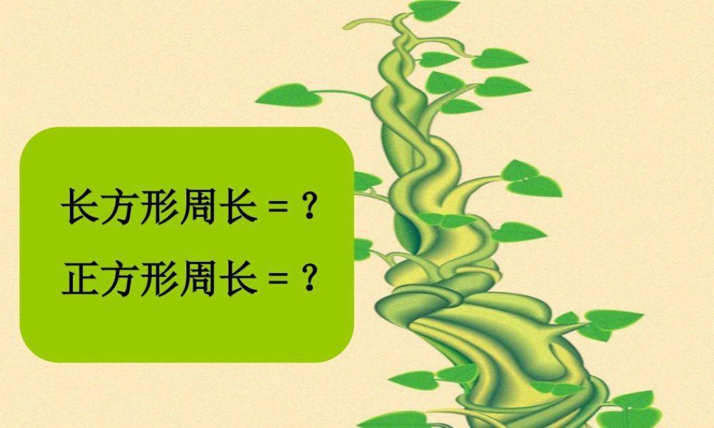 浙教版小学数学三年级下册-回顾_长方形周长（二）.ppt