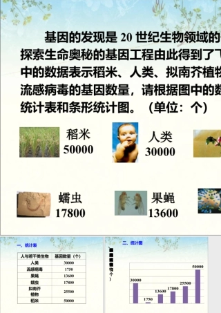 浙教版小学数学四年级上册-基因数量_统计表和条形统计图.ppt