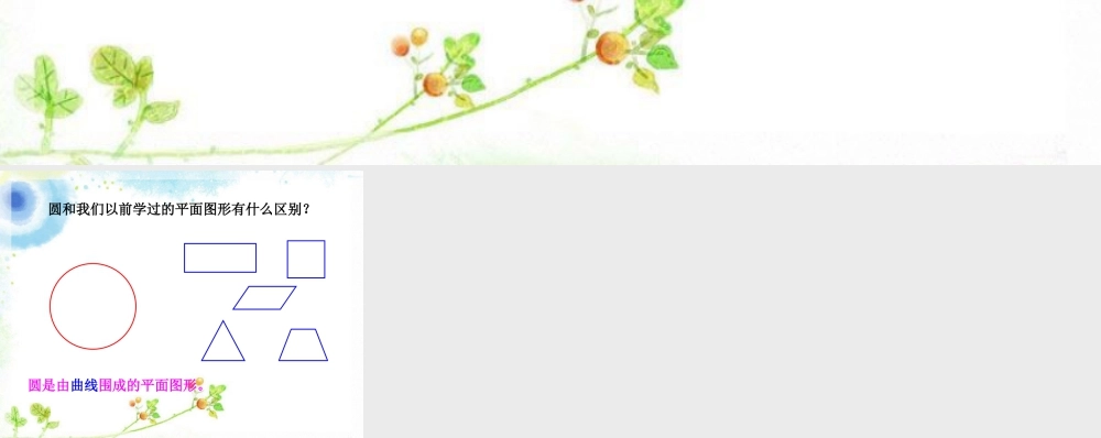 浙教版小学数学四年级上册-说一说_圆的认识 .ppt