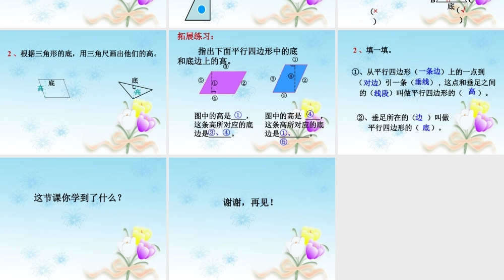 浙教版小学数学四年级下册-《图形的高与底》课件2.ppt