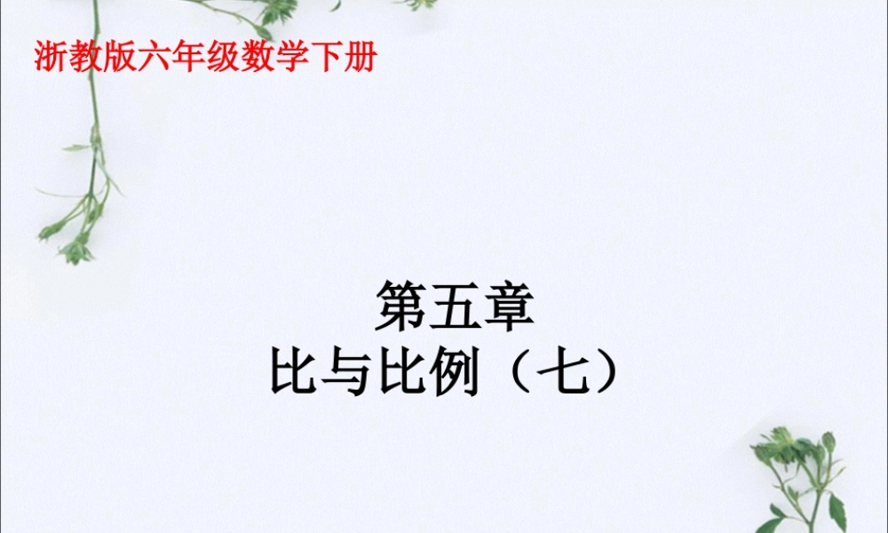 《比与比例》课件1-浙教版小学数学六年级下册.ppt