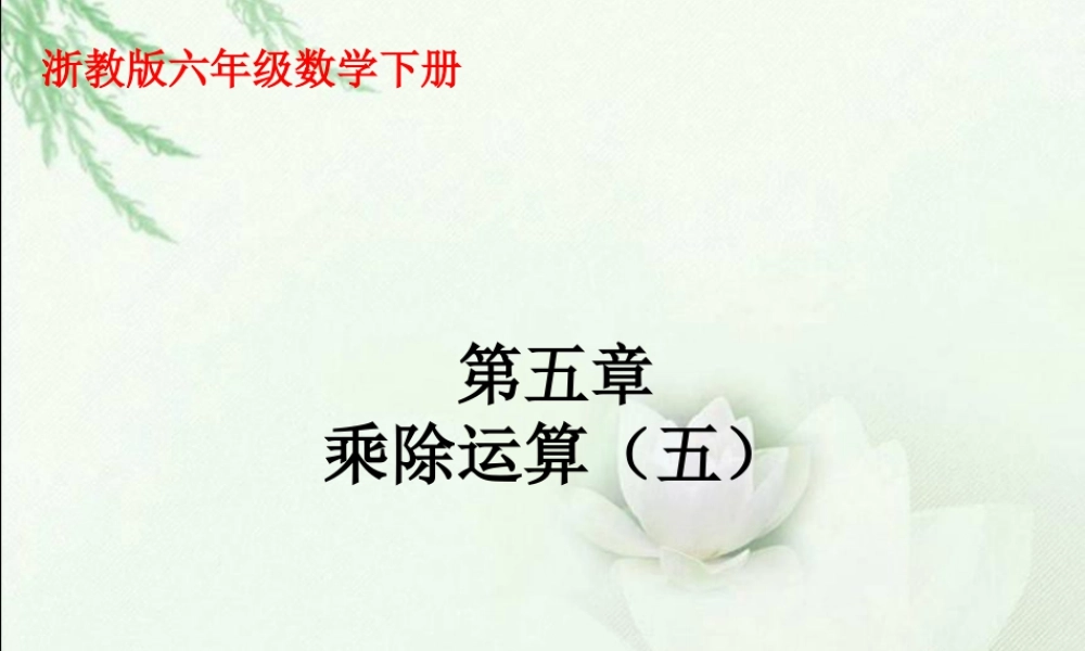 《乘除运算》课件2-浙教版小学数学六年级下册.ppt