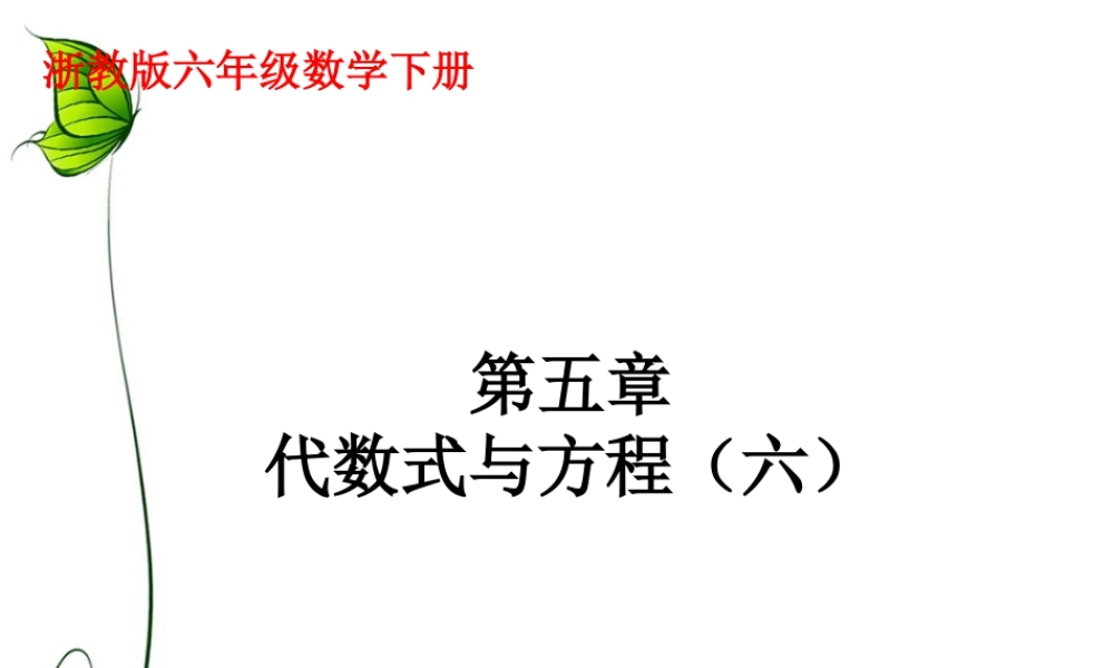 《代数式与方程》课件2-浙教版小学数学六年级下册.ppt