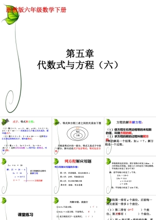 《代数式与方程》课件2-浙教版小学数学六年级下册.ppt