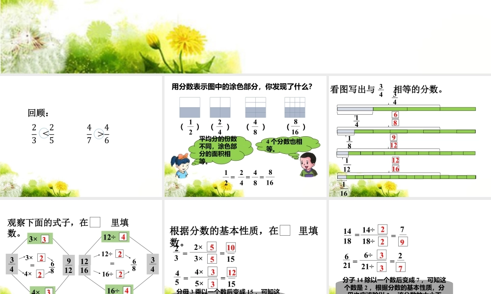 《分数的基本性质》课件1-浙教版小学数学五年级下册.ppt