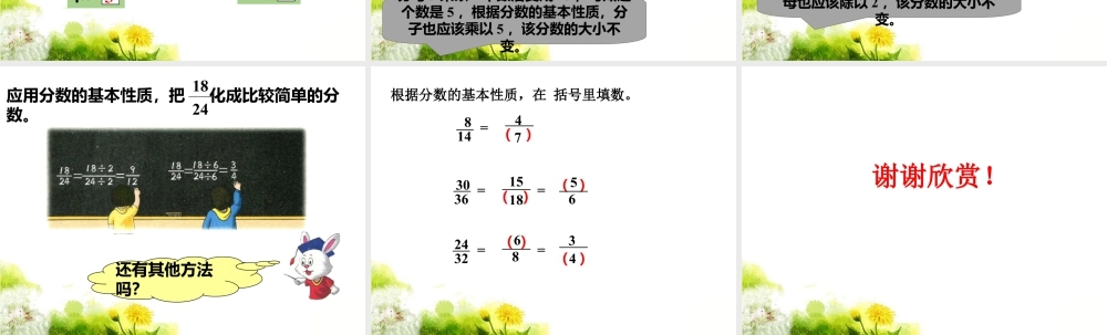 《分数的基本性质》课件1-浙教版小学数学五年级下册.ppt