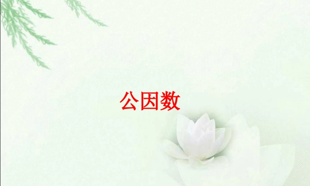 《公因数》课件1-浙教版小学数学五年级下册.ppt