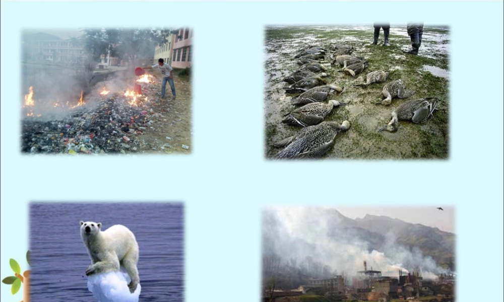 《环境保护中的数学问题》课件1-浙教版小学数学六年级下册.ppt