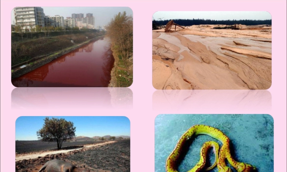 《环境保护中的数学问题》课件2-浙教版小学数学六年级下册.ppt