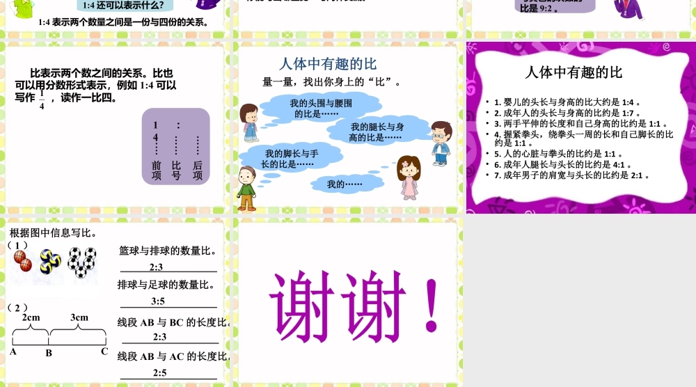 《生活中的比》课件-浙教版小学数学六年级上册.ppt