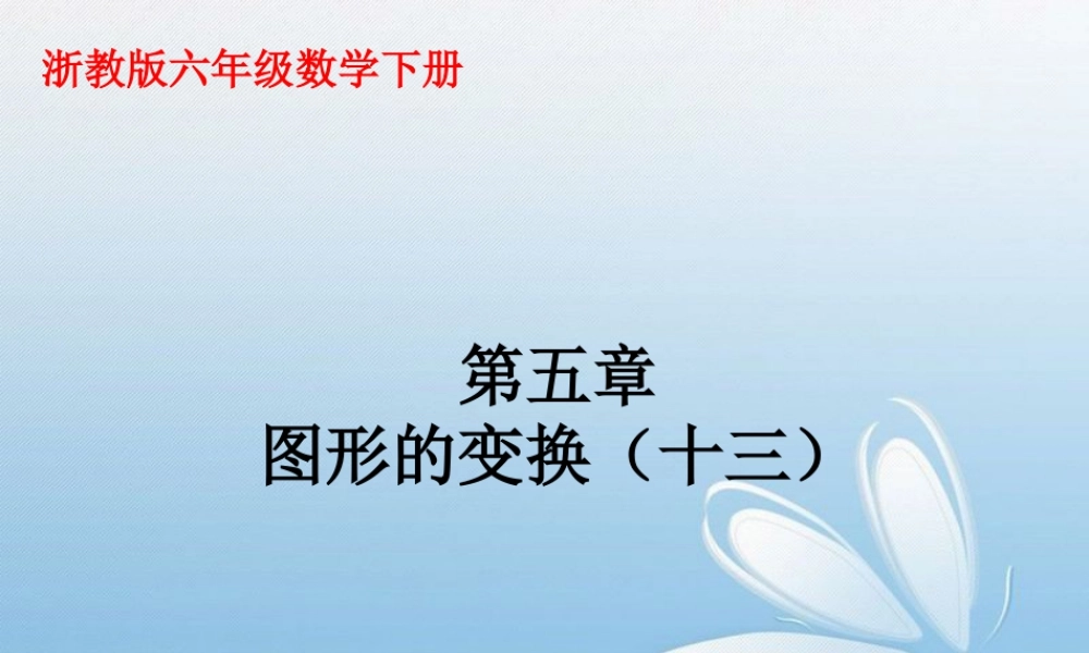 《图形的变换》课件2-浙教版小学数学六年级下册.ppt