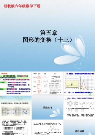 《图形的变换》课件2-浙教版小学数学六年级下册.ppt