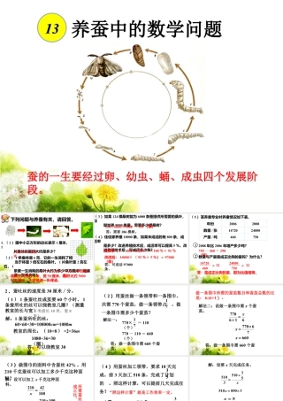 《养蚕中的数学问题》课件1-浙教版小学数学六年级下册.ppt