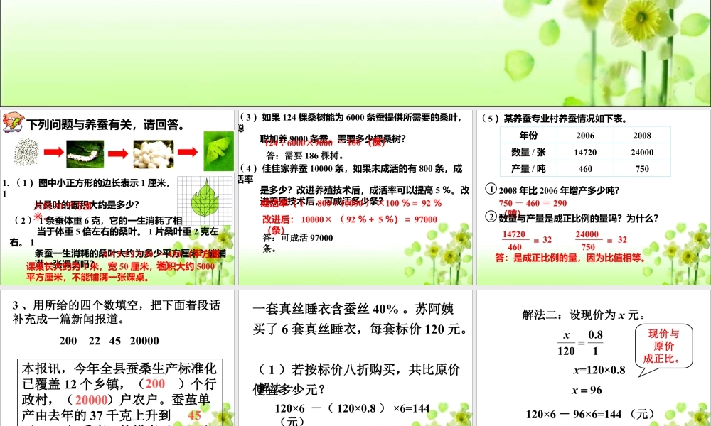 《养蚕中的数学问题》课件2-浙教版小学数学六年级下册.ppt