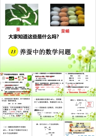 《养蚕中的数学问题》课件2-浙教版小学数学六年级下册.ppt